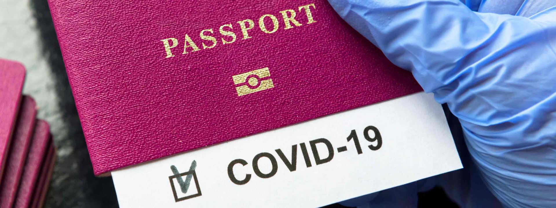 Japan Has the Most Powerful Passport but Only in a Post-Pandemic World