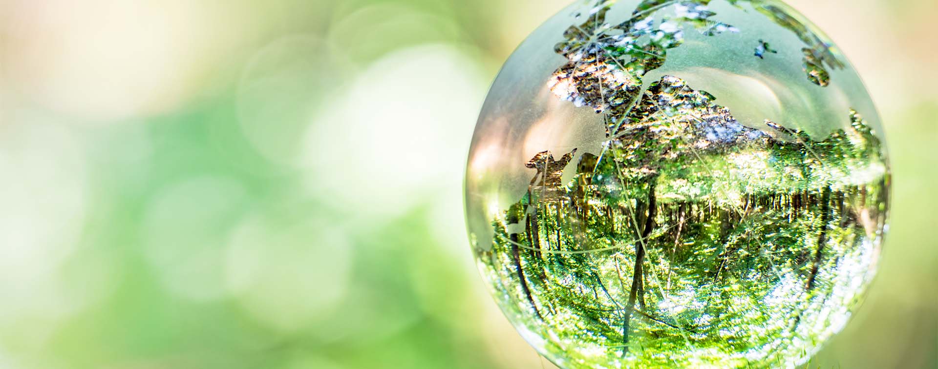 Glass globe balanced on moss-covered tree stump