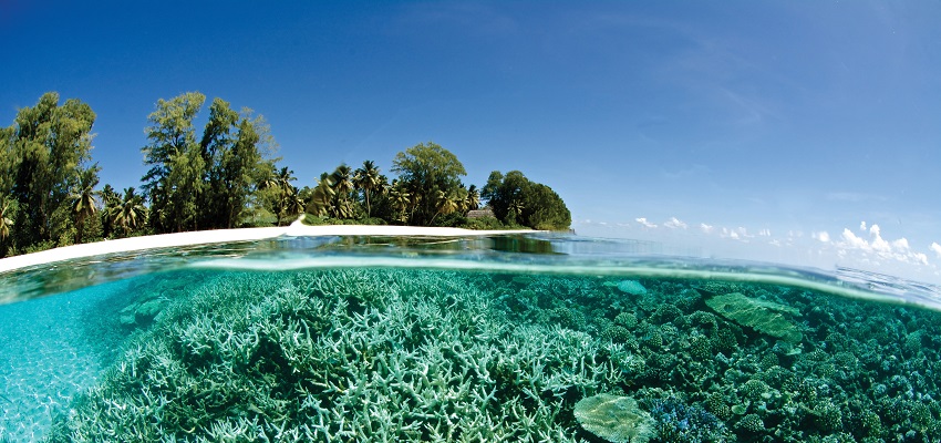 Отчет о климатическом финансировании Henley & Partners за 2025 год