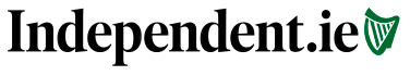 Article logo